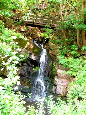 Single wandern im saarland